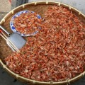 Gamberi crudi