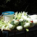 Zucchine decorate
