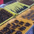 coleotteri allo spiedo