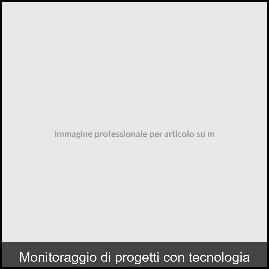 Monitoraggio di progetti con tecnologia Digitalici